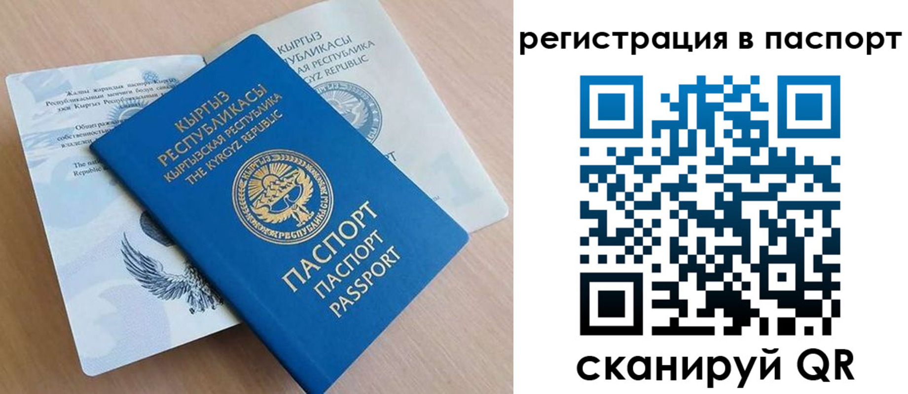 временная регистрация гарантия в Находке